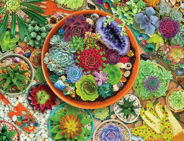 Succulent Garden 500 Piece Jigsaw Puzzle for sale by Springbok Puzzles